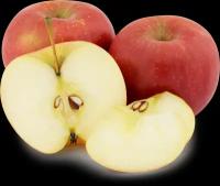 Яблоки Айдаред фасованные вес до 1.2 кг