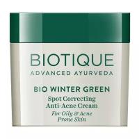 Крем против акне, для жирной кожи (Bio Winter Green Spot Correcting Anti-Acne Cream) 15 г