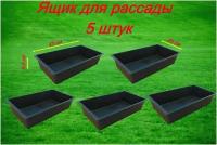 Ящик для рассады 43x23x9,5 см, 5 штук