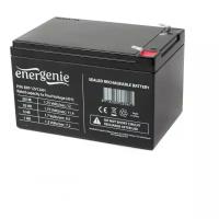 Аккумулятор для ИБП Energenie BAT-12V12AH