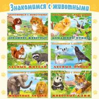 Познавательное чтение для дошкольников и малышей Издательство Фламинго Знакомимся с животными Комплект из 6 книг