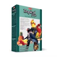 Padovan корм Tropical Patee с фруктами для средних попугаев, 700 г