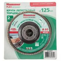 Лепестковый диск Hammer 213-017, 2 шт