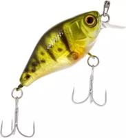 Jackall Chubby 38 ghost g perch