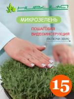 Микрозелень. Набор для выращивания 