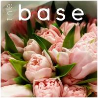 Букет розовых тюльпанов the base flowers