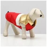 Одежда для животных. Куртка для собак с утяжкой. размер 18, золото-красная, 1 шт