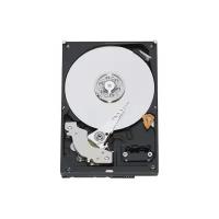 Жесткий диск Western Digital WD Blue 750 GB (WD7500AAKS)