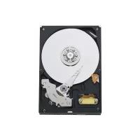 Жесткий диск Western Digital WD Blue 80 ГБ WD800BB