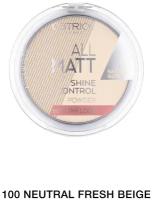 Пудра All Matt Shine Control Healthy Look