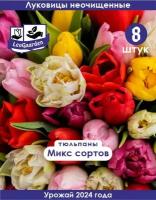 Тюльпан Луковицы неочищенные, Микс сортов, 8шт