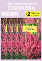 Семена цветов Лимониум (Статица) Суворова, 4 упаковки + 2 Подарка