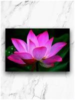 Картина для интерьера на холсте 40х60 см/ Цветок / Лотос розовый
