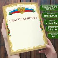 Бланк Благодарность. Набор 20 штук. Размер 21х30 см. (формат А4) Бланки для принтера или рукописного заполнения. Шаблон диплома для печати