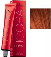 Schwarzkopf Professional Igora Royal - Шварцкопф Игора Роял Стойкая крем-краска для волос, 60 мл - Роял 5-7 Светлый коричневый медный