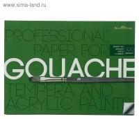 Бумага для акрила, гуаши и темперы А4, 297 х 210 мм, 10 листов, блок, 300 г/м2