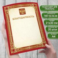 Бланк Благодарность. Набор 20 штук. Размер 21х30 см. (формат А4) Бланки для принтера или рукописного заполнения. Шаблон диплома для печати