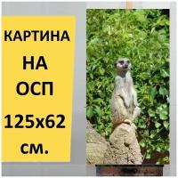 Картина на ОСП 