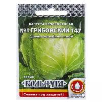 Семена Русский Огород Кольчуга Капуста белокочанная №1 Грибовский 147 0.5 г