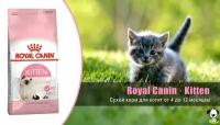 Сухой корм Royal Canin Kitten для котят от 4 до 12 месяцев, 2 кг