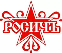 Росичъ 238Б-1029438-А Сальник ЯМЗ оси привода ТНВД 34х50х7 внутренний росичъ