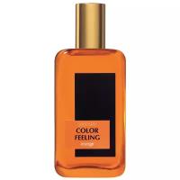 Brocard Мужской Color Feeling Orange Туалетная вода (edt) 100мл