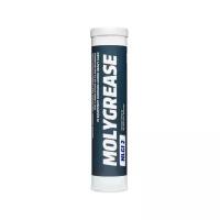 Смазка Neste Molygrease NLGI. 2 0.4 кг