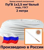 Проводд силовой электрический ПуГВ 1х2,5 мм2, белый, медь, ГОСТ, 2 метра