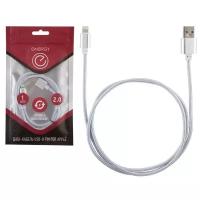 Кабель Energy ET-01 USB/Lightning, цвет - серебро