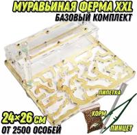 Большая муравьиная ферма (формикарий) XXL Стандарт