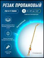 Резак пропановый+2 мундштука в комплекте Р3П-Л-Р(750мм) Рычажный (гайка М16*1,5)