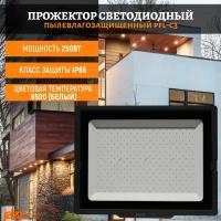 Прожектор светодиодный jazzway PFL-C3 250W (6500K IP65), 250 Вт, свет: холодный белый