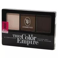 TF Cosmetics Палетка теней Trio Color Empire 304 шоколад