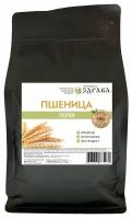 Пшеница (отборная) 1,5кг Народная Здрава