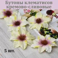 Бутон клематиса (кремово-сливовый, 5 шт.) /Клематисы для декора / Цветы для интерьера и творчества