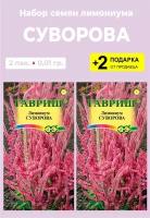 Семена цветов Лимониум (Статица) Суворова, 2 упаковки + 2 Подарка