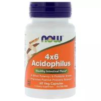 Acidophilus 4x6 NOW (60 вег кап)