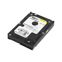 Жесткий диск Western Digital WD Blue 320 ГБ WD3200AAJS