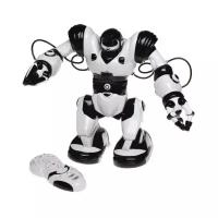 Робот WowWee Robosapien 8081/8083