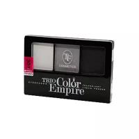 TF Cosmetics Палетка теней Trio Color Empire 301 серый жемчуг