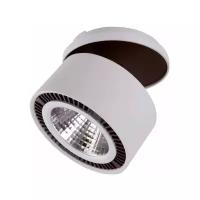 Светильник Lightstar Forte Inca 213849, LED, 40 Вт, 3000, теплый белый, цвет арматуры: черный, цвет плафона: черный