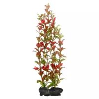 Искусственное растение Tetra Red Ludwigia L