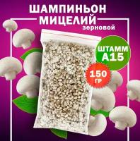 Мицелий шампиньон зерновой белый (штамм А15) - 150 гр