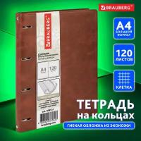 Тетрадь на кольцах со сменным блоком для учебы Большая, А4 (240х310 мм), 120 листов под кожу, клетка, Brauberg Main, коричневый, 404511