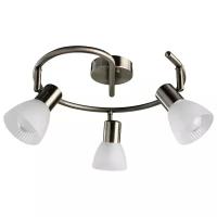 Потолочный светильник Arte Lamp Parry A5062PL-3SS, E14