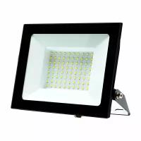 Прожектор светодиодный 2835 SMD 100W 6400K IP65 AC220V/50Hz, черный, LL-922 арт. 32103