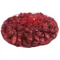 ПОИСК лук-севок Кармен, 0.5 кг, красный