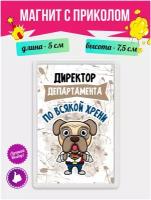 Магнит с приколом на холодильник Директор Департамента по всякой ерунды. Магнитик на доску с рисунком из акрила на подарок