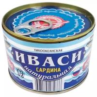 Вкусные консервы сардина тихоокеанская Иваси натуральная