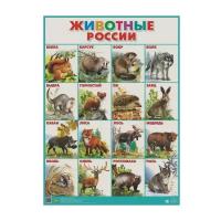 Плакат Литур Животные России